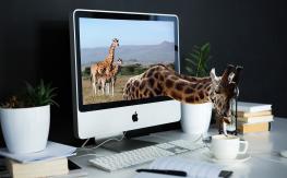 Panduan Memilih Monitor Gaming Terbaik: Sesuai Budget dan Kebutuhan Anda!