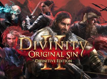 Divinity: Original Sin II - Divinity: Original Sin II