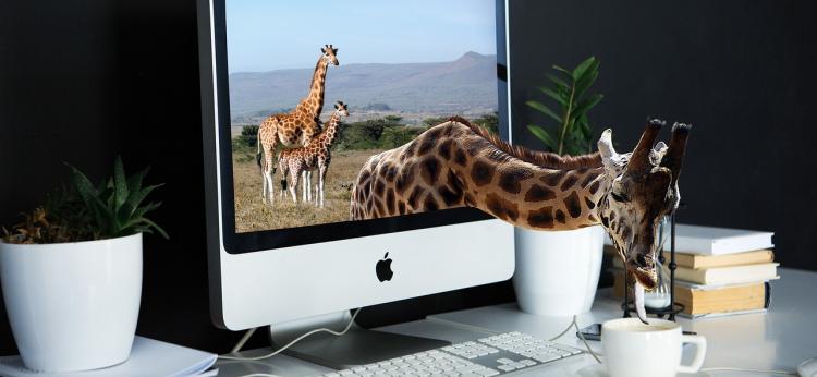 Panduan Memilih Monitor Gaming Terbaik: Sesuai Budget dan Kebutuhan Anda!